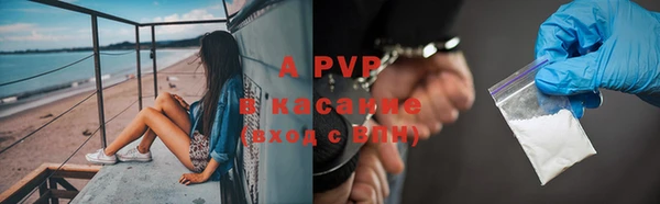 шишки Алексин