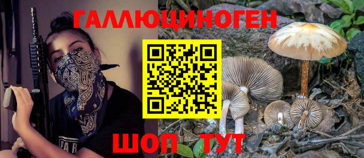 Галлюциногенные грибы Magic Shrooms  Галлюциногенные грибы мицелий  где купить наркоту  Вход с VPN  Бахчисарай 