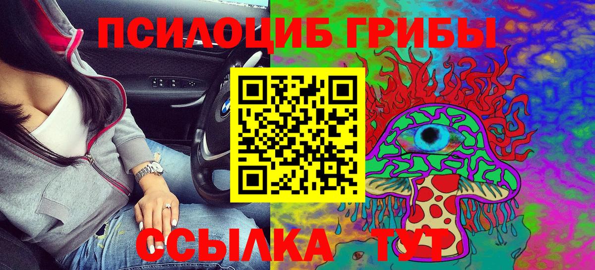 Галлюциногенные грибы Psilocybe Бахчисарай
